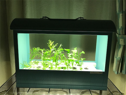 f:id:fumizou0709:20210822134249j:image f:id:fumizou0709:20210822134249j:image