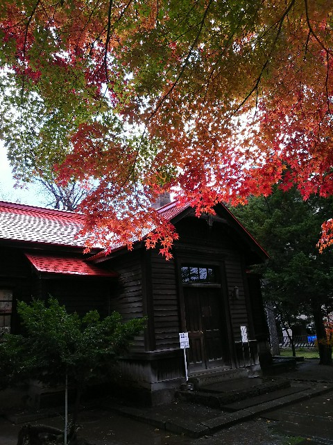 f:id:fummytan:20190103142322j:image f:id:fummytan:20190103142322j:image