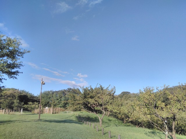 f:id:fumy-az:20201014032229j:image f:id:fumy-az:20201014032229j:image