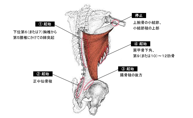 f:id:fumy_billiard:20171003155255j:plain