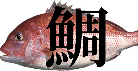 f:id:fun9cy:20180225210048p:plain f:id:fun9cy:20180225210048p:plain
