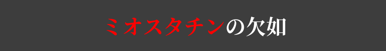 f:id:fun9cy:20181020184440p:plain