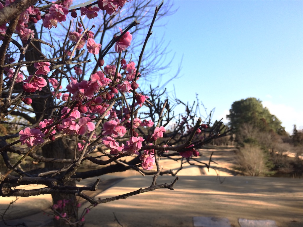 f:id:funabashicc:20180301203936j:image f:id:funabashicc:20180301203936j:image