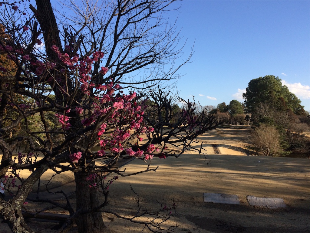 f:id:funabashicc:20180301204207j:image f:id:funabashicc:20180301204207j:image