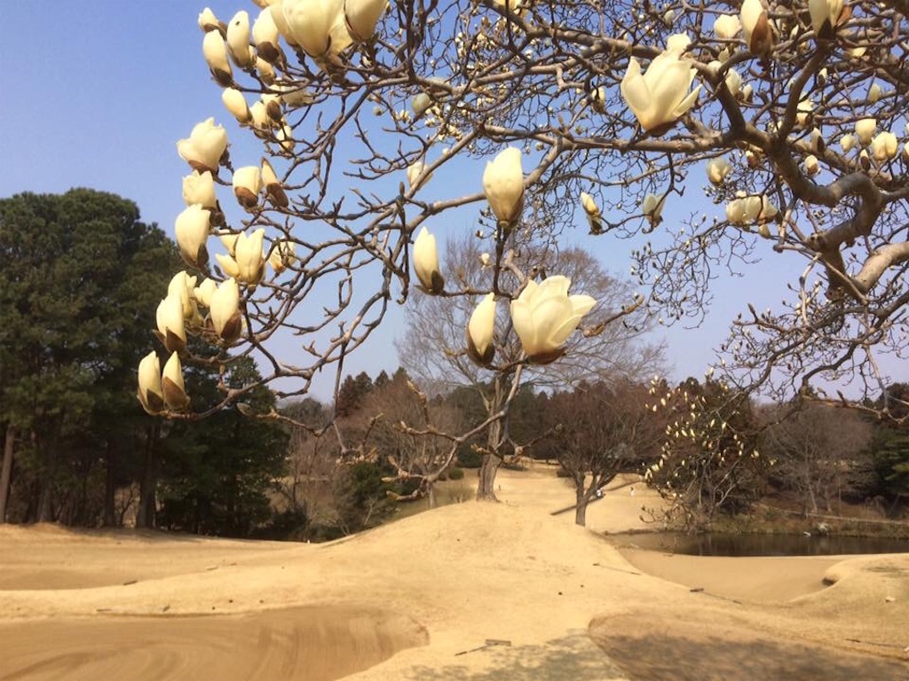 f:id:funabashicc:20180301205312j:image f:id:funabashicc:20180301205312j:image