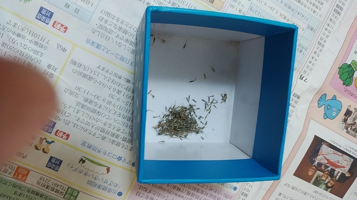 f:id:funahashihiroto:20190926182225j:plain