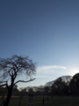 [Q08]空