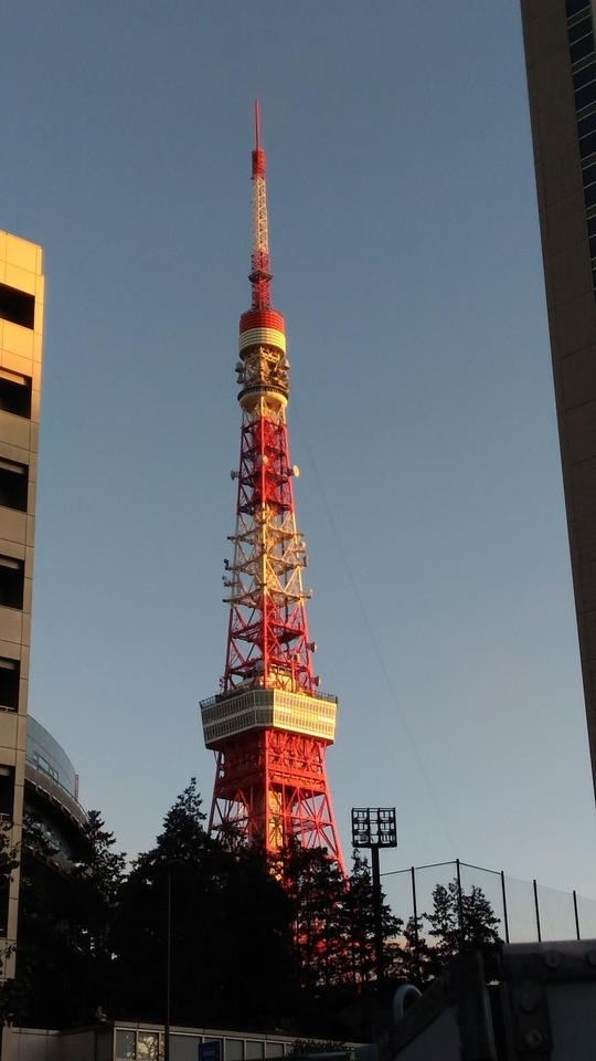 東京タワー