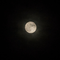 月夜