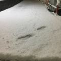 雪