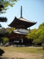 根来寺　多宝塔