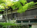 施福寺　本堂裏