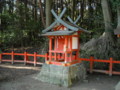 大原野神社　白髭･藤森社