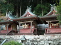 長谷寺・三社権現
