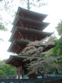 長谷寺・五重塔