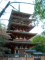 長谷寺・五重塔