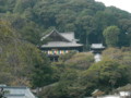 長谷寺・本堂