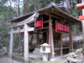 赤山禅院　稲荷社