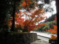 20121124140831