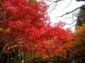20121124141104