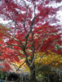 20121124141207