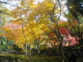 20121124141226