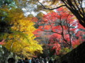 20121124141249