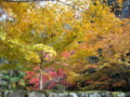 20121124141309
