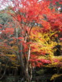 20121124141330