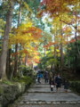 20121124141407