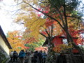 20121124141544