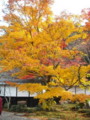 20121124141737