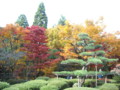 20121124141753
