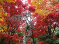 20121124141823