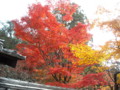 20121124141900