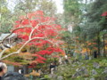 20121124141927