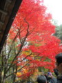 20121124142024