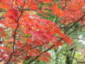 20121124142037