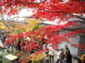 20121124142116
