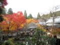 20121124142123