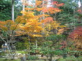 20121124142205