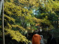 20121124142525