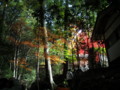 20121124142549