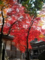 20121124142619
