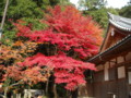 20121124142641