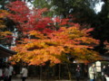 20121124142649