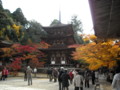20121124142829