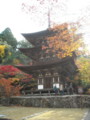20121124142948