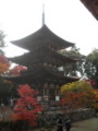 20121124143735