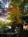 20121124144035